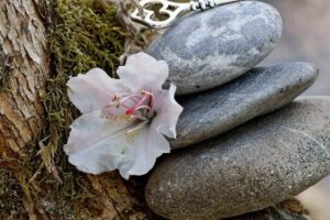 5 conseils pour révéler votre intuition