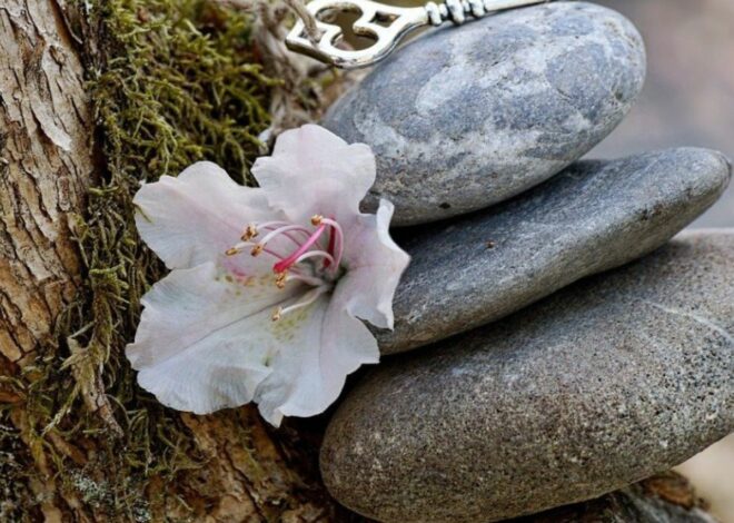 5 conseils pour révéler votre intuition