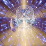 La perception l'expérience du monde