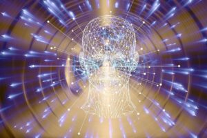 La perception l'expérience du monde