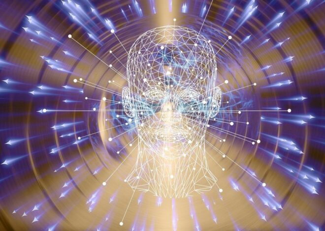 La perception l&rsquo;expérience du monde