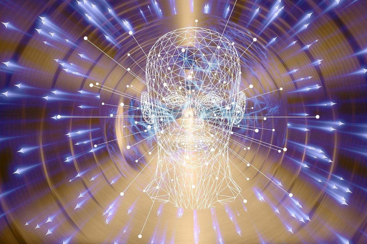 La perception l&rsquo;expérience du monde