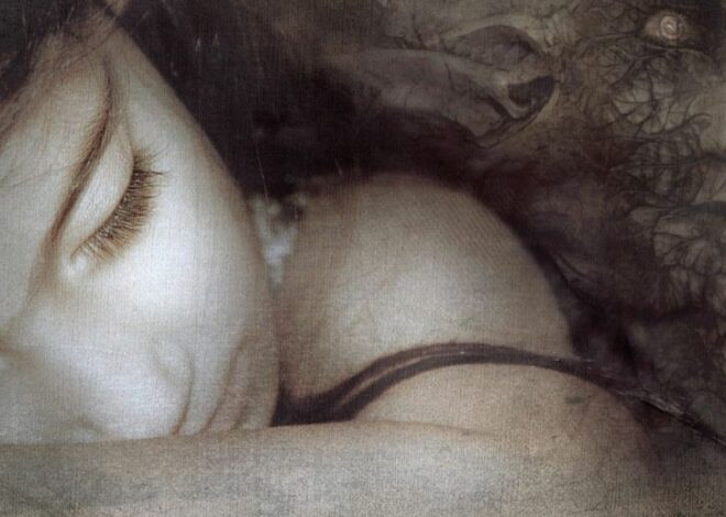 L&rsquo;interprétation des rêves