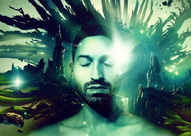 L&rsquo;imagination créatrice