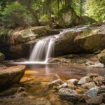 communiquez avec la nature