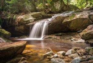 Communiquez avec la nature
