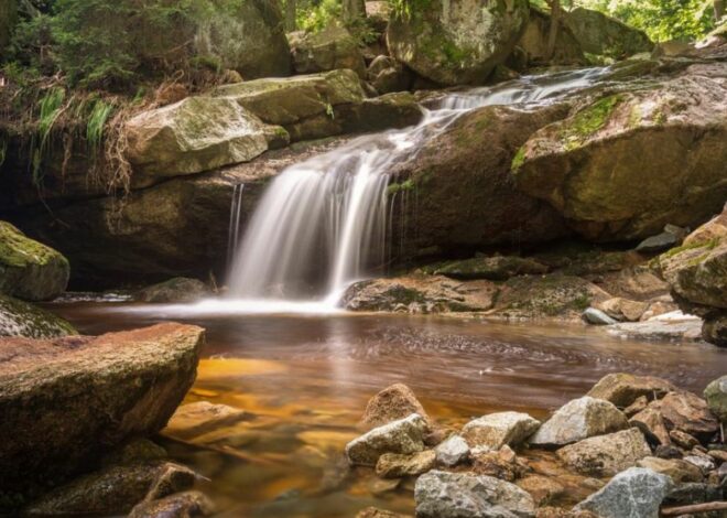 Communiquez avec la nature