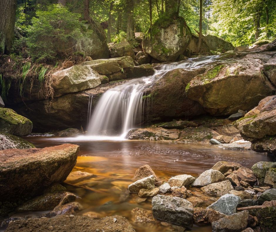 Communiquez avec la nature