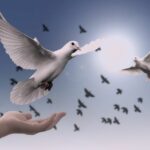 les bienfaits de l'unité