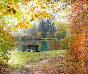 Méditation en automne