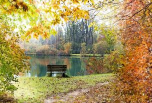 Méditation en automne