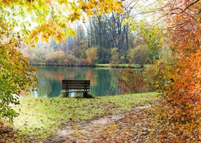 Méditation en automne