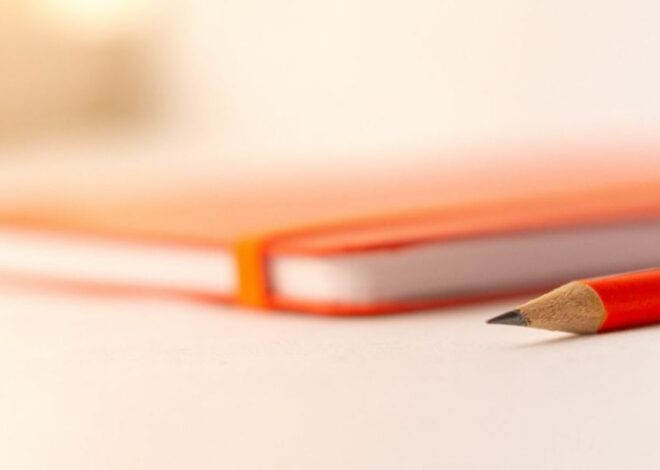 Organisation et quotidien