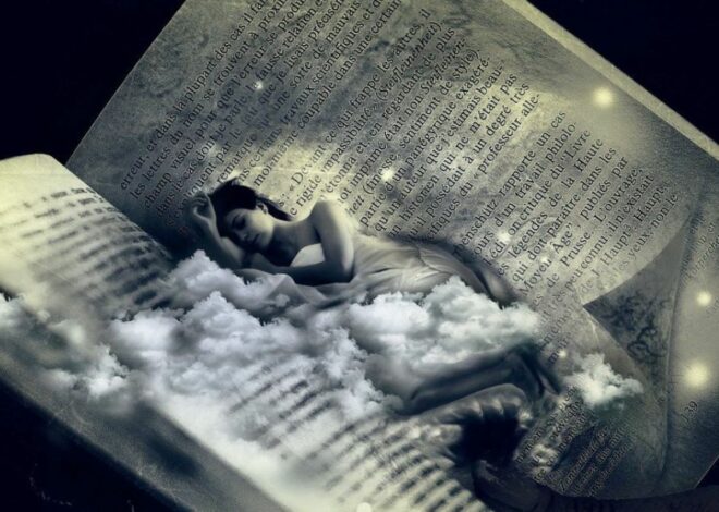 Les phases du sommeil