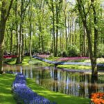 contempler le printemps