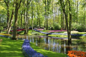 Contempler le printemps