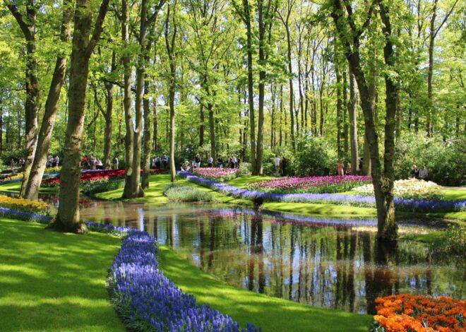 Contempler le printemps