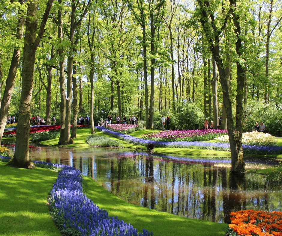 contempler le printemps